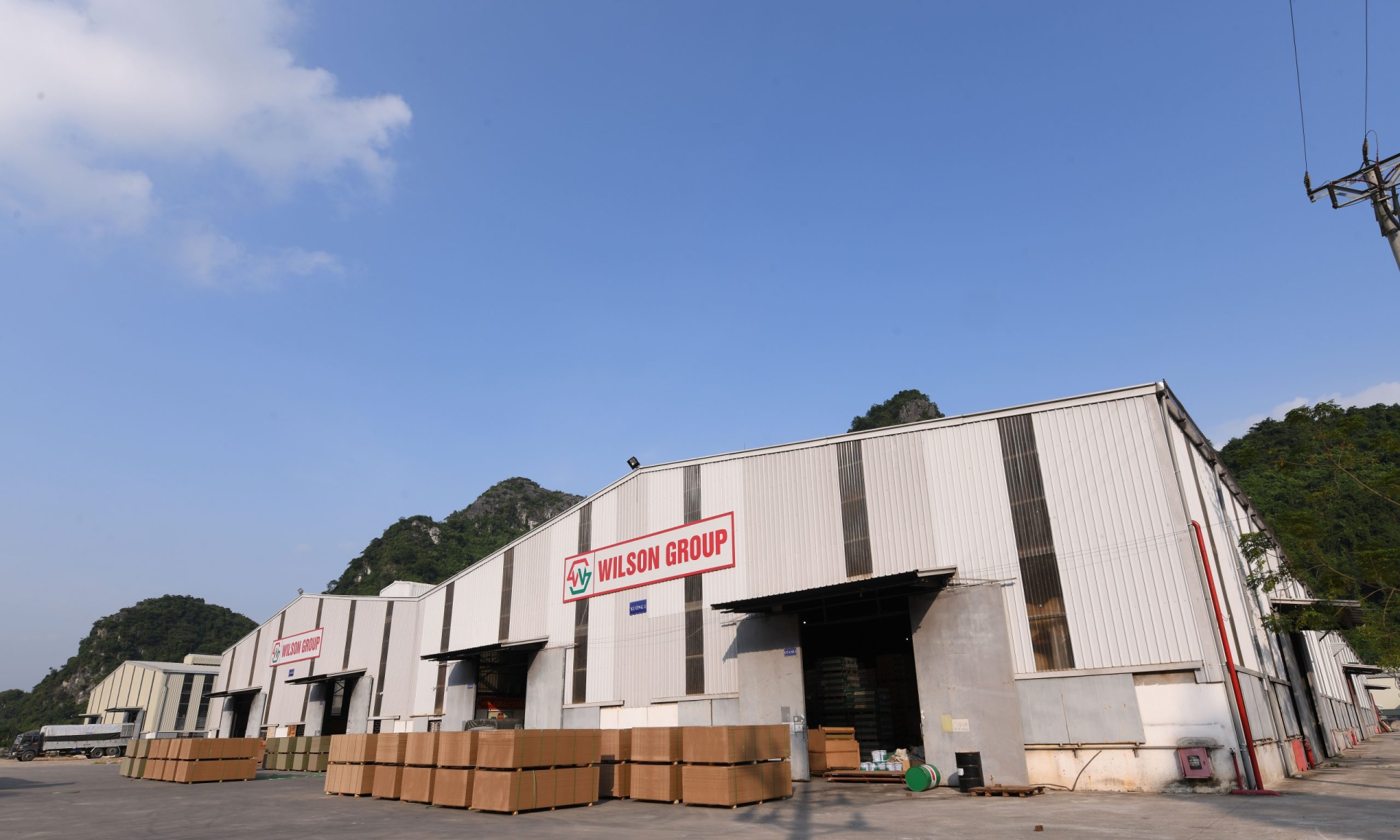 2011 - Phát triển thành Công ty cổ phần Wilson Việt Nam