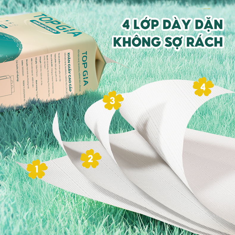 Giấy rút đáy treo tường Sắc Việt