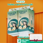 Giấy rút đáy treo tường Sắc Việt